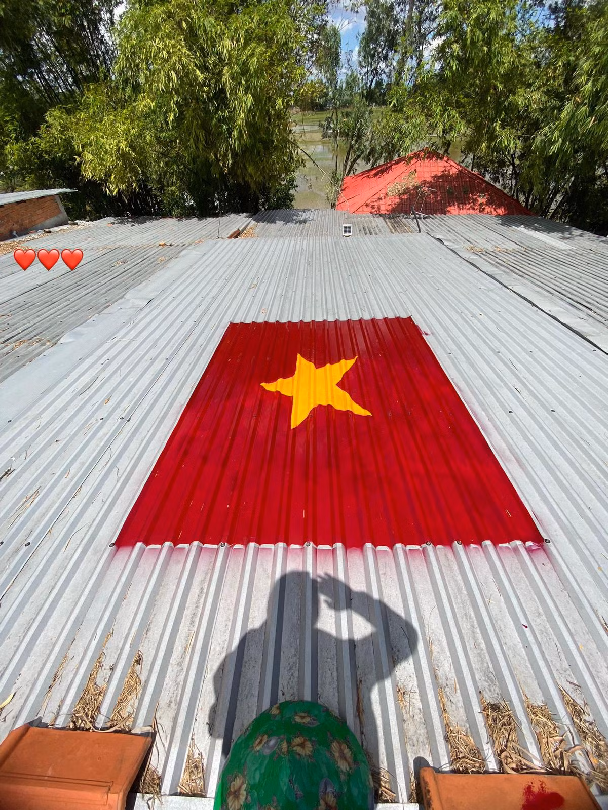 Nhiều người đã bày tỏ niềm xúc động khi nhìn thấy hình ảnh những mái nhà cờ đỏ sao vàng: "Đáng yêu quá, người trẻ cũng yêu nước theo một cách rất riêng", "dạo gần đây có nhiều sự kiện làm mình xúc động vô cùng, từ lễ duyệt binh mừng chiến thắng Điện Biên Phủ, đến hình ảnh đưa tang bác Trọng, giờ là trend chào Quốc Khánh"...;