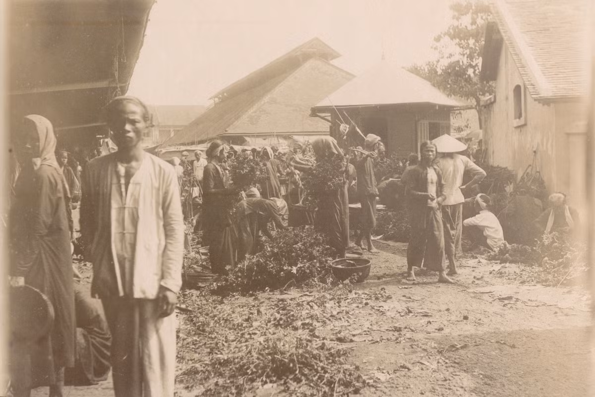 Sài Gòn của năm 1902 là một thành phố yên ắng, nơi cư dân còn có những phút thư thả mơ màng, lim dim dưới mái tranh, bên những con kênh yên ắng đậu đầy xuồng ghe, xung quanh là quân lính Pháp với đồng phục xếp ly thẳng thớm cùng chiếc nón bấc đặc trưng.