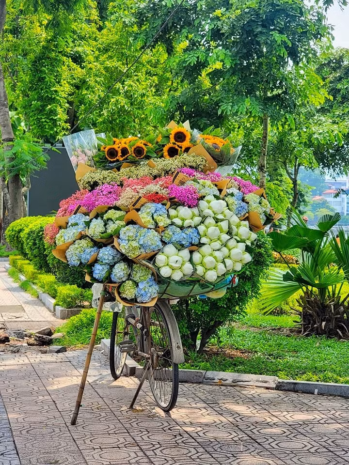 Những chiếc xe đạp nhỏ bé nhưng lại mang trên mình những bó hoa to, rực rỡ cả một góc trời... (Ảnh: Đinh Xuân Tiến)