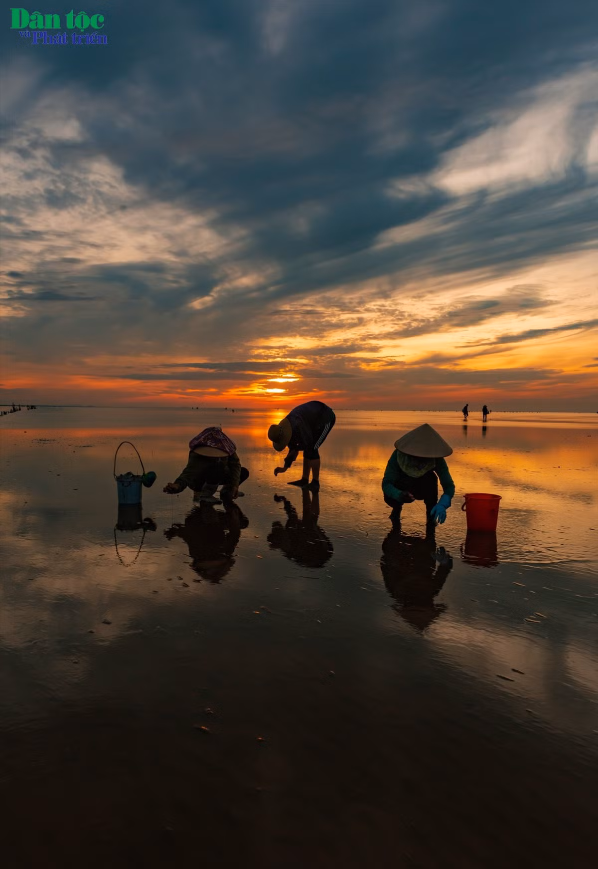 gười dân Quang Lang thường ra bãi đánh bắt hải sản ven bờ như cua, cáy, móng tay, ngao vọp và dùng te để đánh bắt tôm vàng, cá đối... ở vùng nước nông.