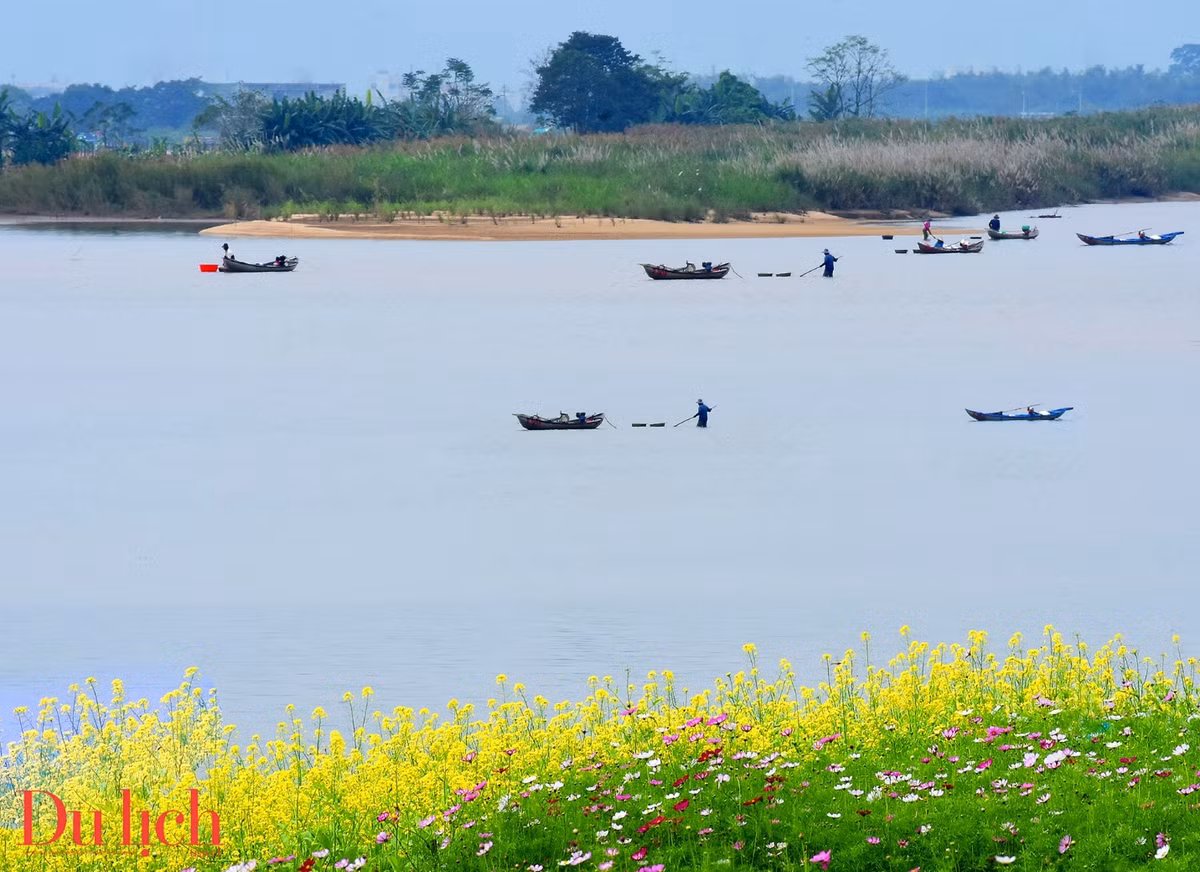 Dong song me hoac du khach khi dat chan den Quang Ngai-Hinh-17
