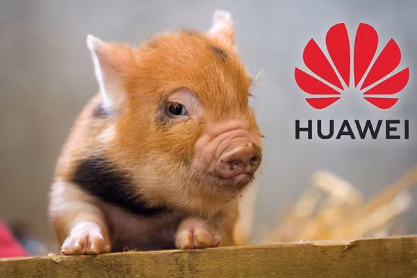Một số lĩnh vực tăng trưởng mới mà công ty đang chuyển hướng tập trung trong thời gian qua bao gồm dịch vụ đám mây, phương tiện thông minh, thiết bị đeo và bây giờ là tham gia vào các ngành truyền thống như khai thác than và chăn nuôi heo.