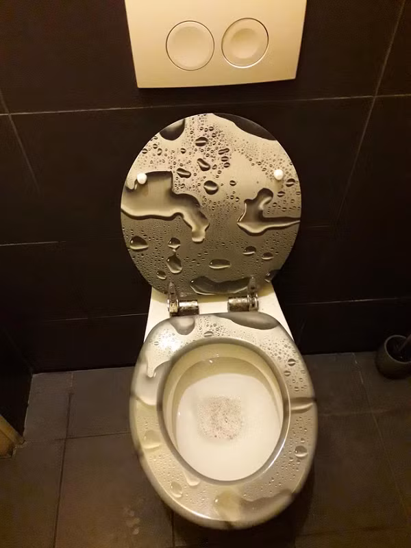 Nhìn chiếc bồn cầu như này ai mà dám ngồi lên nữa.