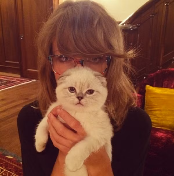 Tài sản của chú mèo Olivia của Taylor Swift ước tính trị giá 97 triệu USD.