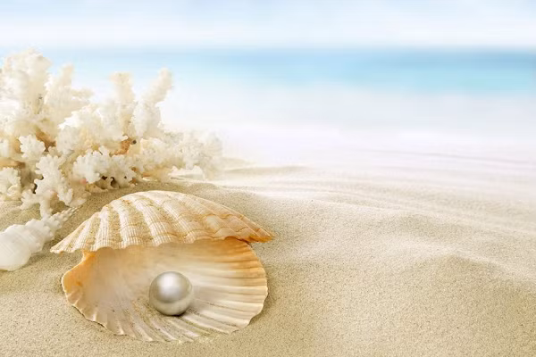 Cụ thể, ngọc trai tự nhiên có kết cấu thành nhiều vòng đồng tâm (tương tự như các lớp của củ hành tây) và gần như 100% thành phần của nó đều là xà cừ.