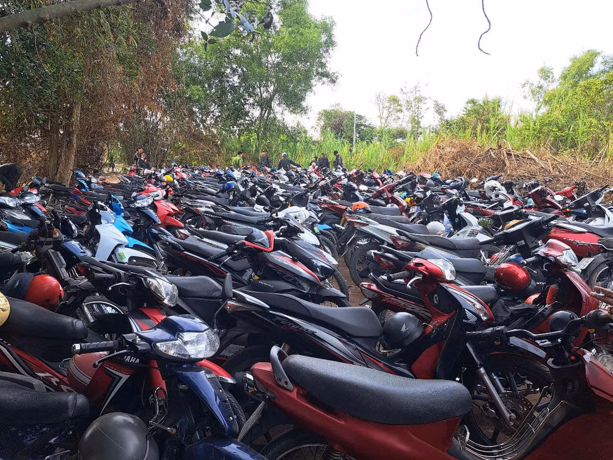 Triet pha truong ga ngay mung 2 Tet, thu giu tang vat “khung”-Hinh-3