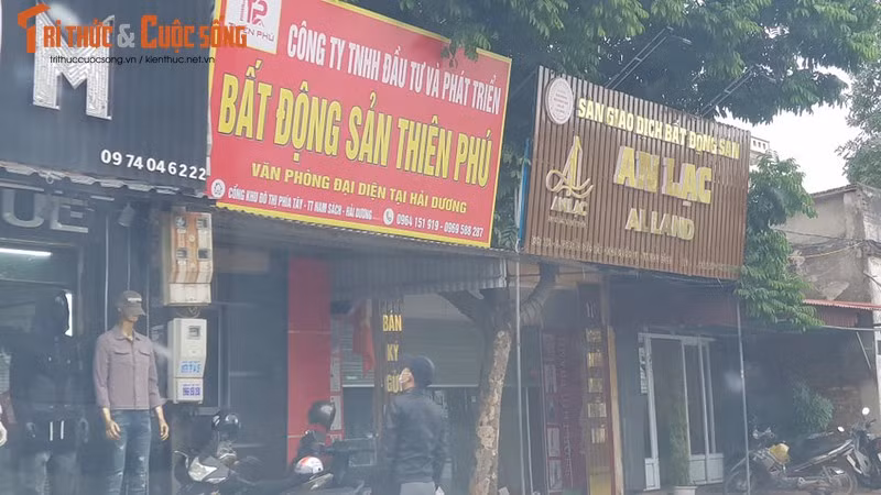Nhieu van phong BDS trai phep o Hai Duong: Ket qua kiem tra thay gi?-Hinh-2