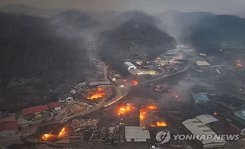 Theo Korea Herald, tính đến chiều 26/3, ít nhất 23 người thiệt mạng và hàng chục người khác bị thương trong thảm họa cháy rừng ở Hàn Quốc. Ảnh: Yonhap.
