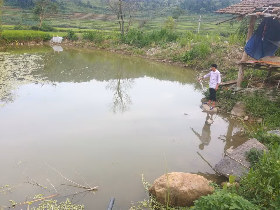 3 chau nho ru nhau tam ao tu vong thuong tam o Dien Bien