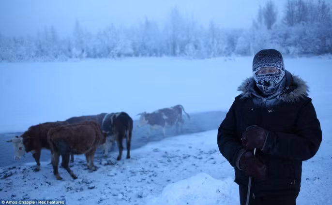 Hiện nay, ngôi làng có dân số khoảng 500 người. Tuy nhiên, vào những năm 1920 và 1930, Oymyakon chỉ là một nơi dừng chân cho những người chăn tuần lộc để lấy nước từ suối nước nóng. Do lo sợ cộng đồng du mục tại đây khó kiểm soát và tụt hậu về công nghệ, văn hóa, chính quyền Xô viết quyết định xây dựng Oymyakon thành một nơi định cư lâu dài.