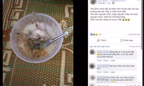 Vợ khoe chồng nấu cháo dưỡng thai: Chim nguyên chim, nước nguyên nước, hành nổi lõng bõng