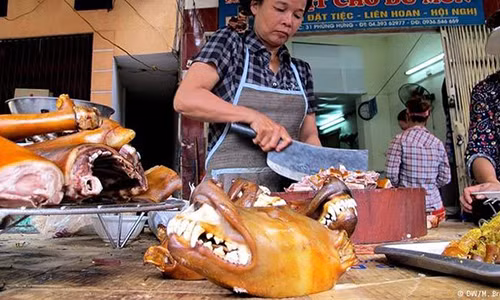 Bao Duc viet ve 