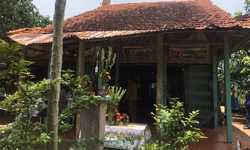 He lo nguyen nhan vu co dau Viet chet bat thuong o Trung Quoc?