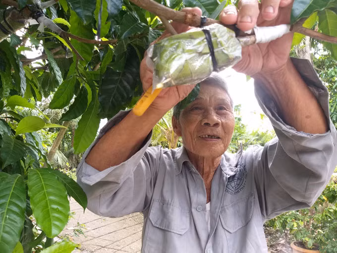 Xuat hien vu sua la chua tung co o Hau Giang-Hinh-3
