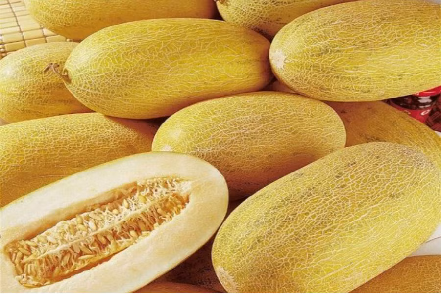 Dưa lưới vàng Trung Quốc được nhập về Việt Nam quanh năm.