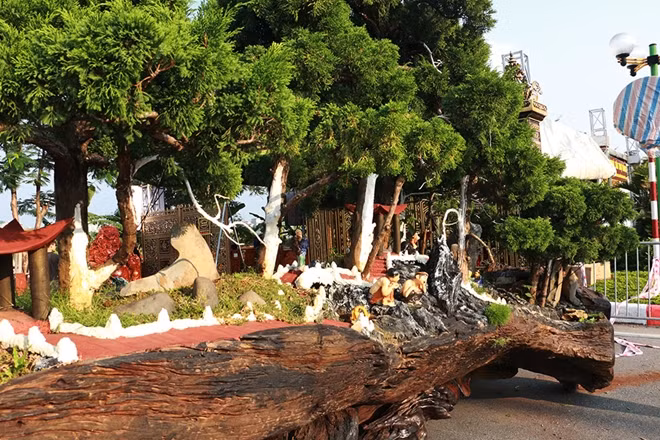 "Hoa mắt" ngắm cây cảnh tiền tỷ Tác phẩm Việt Nam thịnh vượng một trong những "siêu phẩm độc đáo" với 7 cây tùng la hán được trồng xen kẽ với các tiểu cảnh.