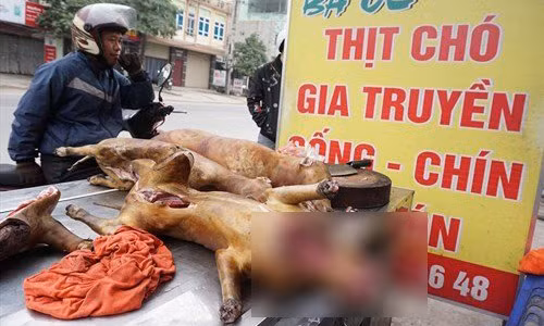 Noi thanh Ha Noi khong con ban thit cho tu nam 2021