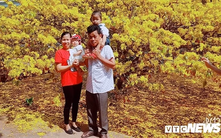 Mỗi ngày, có hàng trăm lượt người thuộc nhiều độ tuổi đến chiêm ngưỡng và chụp ảnh kỉ niệm với cây mai nhà ông Thạnh. Người ta không ngớt lời khen dành cho cây mai này.