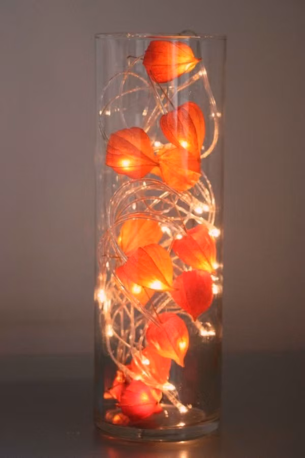 Chọn một chiếc lọ thủy tinh, chọn thêm dải đèn Led với màu đỏ cam. Thắp sáng đèn lấp lánh bên trong lọ thủy tinh là đủ để bệ cửa sổ hay phòng ngủ thêm lung linh sắc màu đón năm mới.