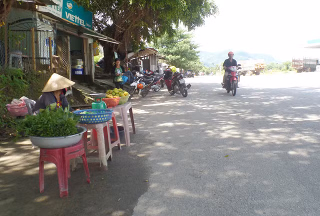 Theo đó cứ đến mùa người dân lại mang gùi, bao đi vào rừng tìm hái về bán. Thường thì, hôm hái ít cũng được khoảng 5-10 kg mỗi người, ngày nhiều 20-30 kg mỗi người. Ngoài bán cho thương lái mang về xuôi, người dân miền núi còn bày "măng cụt rừng" xen với các loại nông sản khác ra ven đường để bán cho khách qua lại.