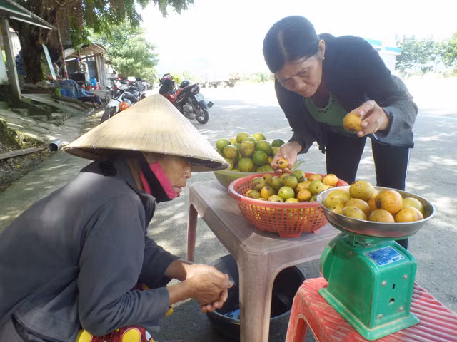"Măng cụt rừng" to cỡ 2/3 nắm tay người lớn và có mùi thơm nhẹ. Trái có lớp vỏ ngoài khá dày khi non có màu xanh và ngả vàng khi chín. Phần thịt bên trong màu vàng nhạt và chia thành các múi. Mùa thu hoạch "măng cụt rừng" ở vùng núi Quảng Ngãi kéo dài từ đầu tháng 6-8 Âm lịch hàng năm.