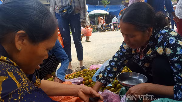 Bán trám đen tại chợ Tu Đồn, thị trấn Văn Quan, cô Thiệm ở Bình Gia cho biết: “Nhà tôi có khoảng 40-50 cây trám cổ thụ do các cụ trồng trong rừng sâu. Năm nay cây cũng khá sai quả, nhưng do trám là cây thân gỗ, gốc thẳng trơn trượt nên rất khó để trèo hái. Trung bình một buổi gia đình hái được hơn 1 tạ quả và tự mang bán tự các phiên chợ chứ không bán buôn". Bà Thiệm cho biết năm trước giá trám dao động từ 30.000 - 40.000 đồng/kg, cao nhất cũng chỉ được 50.000 đồng/kg nhưng năm nay lại được giá hơn. "Từ sáng tới giờ tôi bán đã được hơn 50kg với giá 70.000 đồng/kg. Trám đen của người dân ở đây đều mọc tự nhiên, trong rừng sâu nên rất ngon, bùi và ngậy” - bà Thiệm nói.