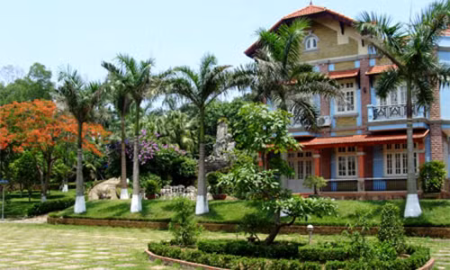 5 loai cay phong thuy trong truoc nha giup gia chu ca doi giau sang