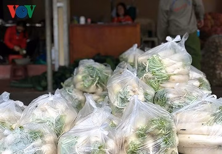 Đầu năm nay, nhiều tấn củ cải được vận chuyển từ xã Tráng Việt (huyện Mê Linh) vào nội thành Hà Nội để tiêu thụ.