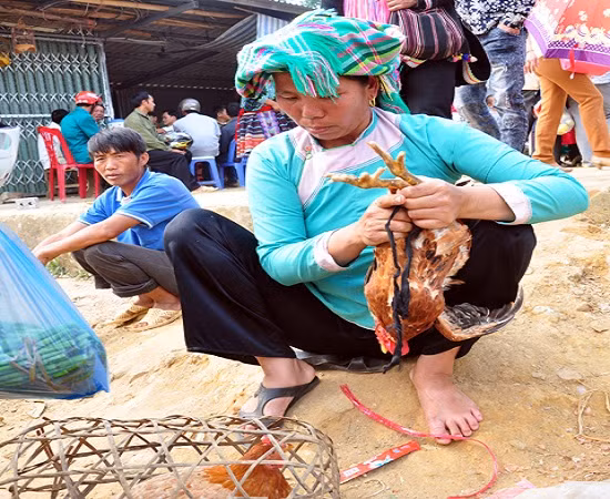 Ở phiên chợ bày bán đầy đủ các mặt hàng nông sản, vật nuôi và các sản vật núi rừng như: rau, lợn, gà, mật ong, nhộng ong, táo mèo, thổ cẩm... Nhờ vậy mà chợ phiên huyện Tam Đường luôn thu hút nhiều du khách đến trải nghiệm và khám phá. (Ảnh Thái Bình)