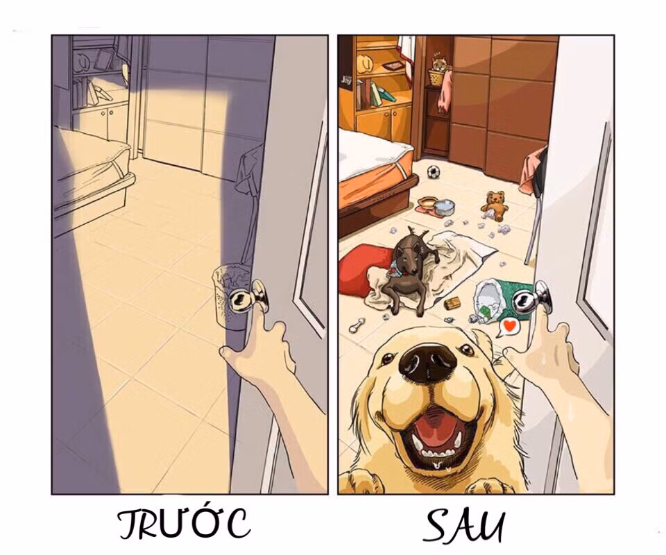 Cuộc sống có pet không tránh khỏi những lúc bực bội khi nhìn phòng ốc bừa bộn, trong khi "thủ phạm" lại thích chí vẫy đuôi chạy khắp nhà.