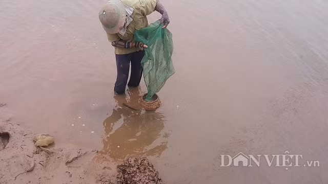 Do đợt không khí lạnh mạnh tràn xuống khiến nhiệt độ toàn miền Bắc xuống thấp tới mức kỉ lục, miền núi có khả năng xuất hiện băng giá. Đối với các tỉnh đồng bằng, trong đó có tỉnh Nam Định rét sâu 9-11 độ C, dù nhiệt độ xuống thấp như thế nhưng nhiều người vẫn lặn lội dưới bùn lầy ở ven biển huyện Nghĩa Hưng (Nam Định) mưu sinh.