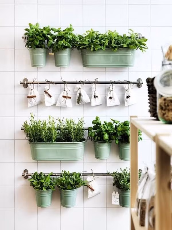 Với những ai yêu thích việc trồng nhiều các loại cây, loại rau gia vị trong bếp, hãy chọn bức tường có nhiều ánh sáng và gắn thanh kim loại. Không gian ngập tràn niềm vui khi có được những mảng xanh dịu dàng như vậy.