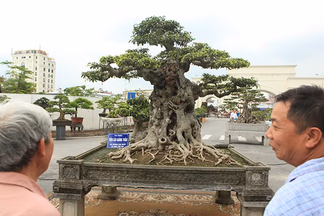 Theo anh Mười, tác phẩm "tiên lão giáng trần" được định giá khoảng 1 triệu đô, đã có người trả 6 tỷ đồng nhưng anh không bán.