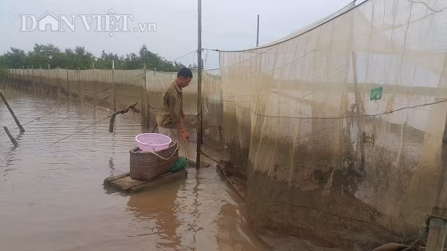 Theo chan ngu dan vao rung san dac san bien, kiem nua trieu/ngay