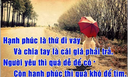Ảnh minh họa.