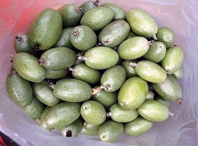 Các gánh bán hàng rong đang bán nhót xanh với giá từ 100.000 - 150.000 đồng/kg. Ảnh: I.T