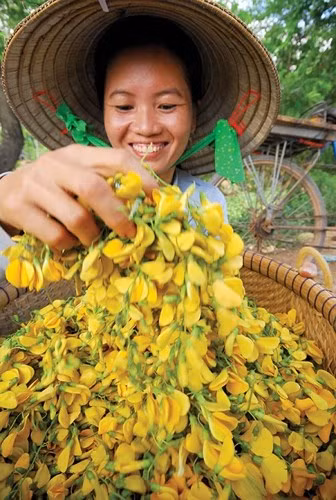 Bông điên điển được bán với giá 30.000 - 40.000 đồng/kg, rất hút hàng. (Ảnh: Báo Hậu Giang)