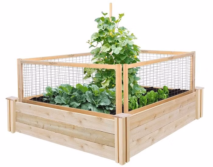 Có chiếc giá được che chắn chắc chắn này, bạn chẳng lo rau xanh nhà bạn bị sâu bệnh hay vật nuôi quấy phá.