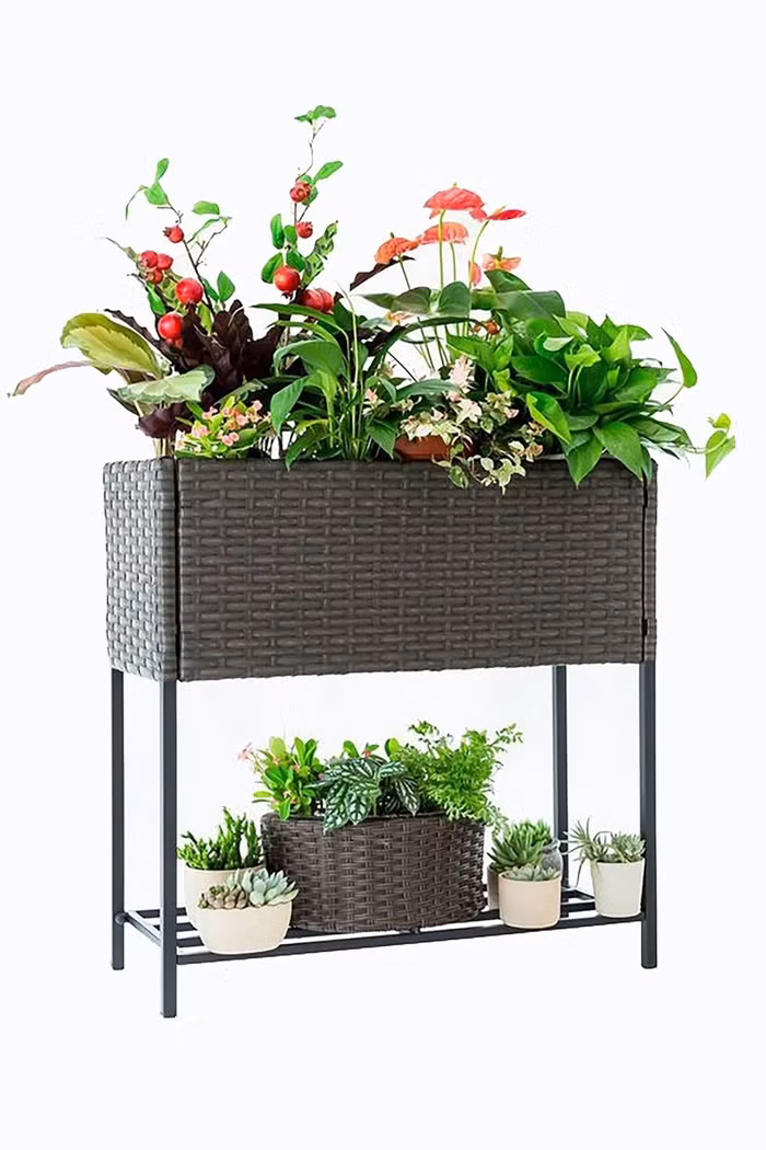 Bạn có thể trồng rau và hoa ở cả 2 tầng của chiếc giá này. Đây mẫu giá lý tưởng dành riêng cho không gian chật hẹp.