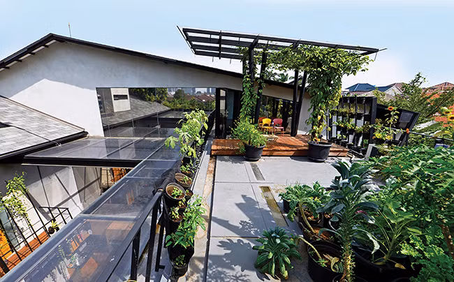 Một khu vườn rộng rãi được bố trí ngay trên sân thượng của tòa nhà này. Sự phong phú của thảm thực vật được trồng trên gần như toàn bộ bề mặt của căn nhà bao gồm cả phần mái nhà giúp tạo sự mát mẻ, đồng thời mang đến cảnh quan như một ốc đảo tại khu đô thị đầy bức bối.