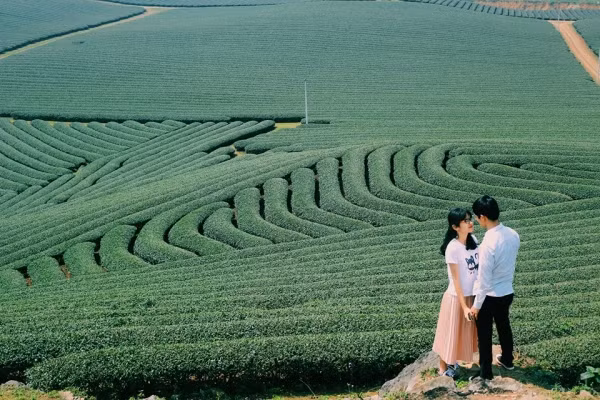 Được biết, hôn lễ của cả hai sẽ rất đơn giản, không cầu kỳ, nhưng sẽ là cuộc hội tụ của rất nhiều người thi Olympia các năm đến chung vui. Dũng cũng chỉ ao ước rằng, từ nay về sau, anh chàng sẽ cố gắng để mang đến một cuộc sống hạnh phúc cho Hằng và xây dựng gia đình này thật hạnh phúc.