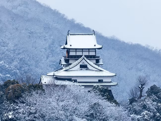Lâu đài Inuyama ở Inuyama, Nhật Bản Được xây dựng năm 1537, Inuyama là 1 trong 12 lâu đài nguyên thủy được xây dựng trước thời kỳ Edo vẫn còn tồn tại đến ngày nay, và được coi là lâu đài lâu đời nhất ở Nhật Bản. Nằm trên đỉnh một ngọn đồi nhỏ cạnh sông Kiso, Inuyama , lâu đài này đến nay vẫn lưu giữ các hiện vật di tích lịch sử văn hoá của thành phố.
