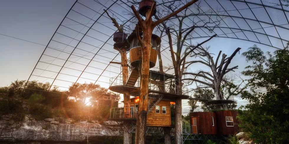 Nhà cây tại The Nest tại Cypress Valley Canopy Tours, Texas Căn nhà cây hai phòng ngủ này treo lơ lửng trên một con lạch và thác nước nhỏ có thể chứa được từ 4 đến 6 người ngủ ở trong. Nhà hoàn toàn đầy đủ mọi tiện nghi, có bếp nhỏ, phòng ăn và khu vực tiếp khách. Ngoài một vòi sen ngoài trời, đi qua một cây cầu nhỏ sẽ đưa đến cho bạn một bồn tắm với vòi sen ở khu vực phòng tắm khá rộng rãi.
