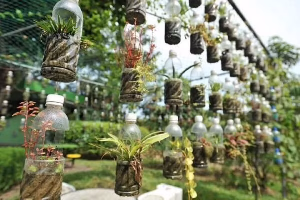 Dọc lối đi hay dọc tường rào, bạn có thể tận dụng chai nhựa tạo nên những bức rèm thẳng tắp nhờ đóng khung kim loại phía trên. Những chai nhựa được cắt khéo léo phần giữa, bỏ đất và xâu chuỗi thành những đường thằng. Bạn có thể thoải mái trồng các loại cây mà mình thích. Ý tưởng sẽ mang đến góc nhỏ xanh tươi, đẹp mắt cho khu vườn hay khoảng sân nhà bạn.