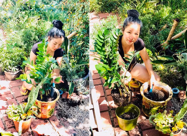 Chiem nguong khu vuon tran ngap cay xanh cua Thuy Nga