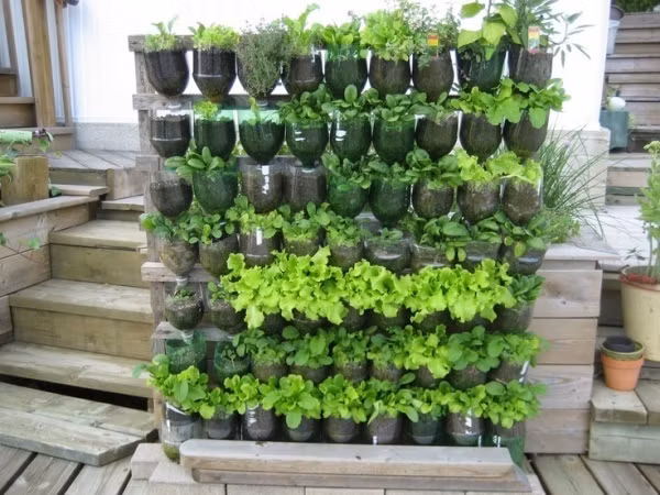 Tận dụng chai nhựa và những tấm pallet cũ. Thật tuyệt vời để có được khu vườn mini xanh mát rau sạch với ý tưởng thú vị này.