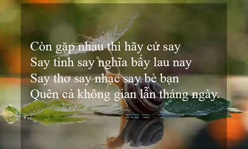 Ảnh minh họa.