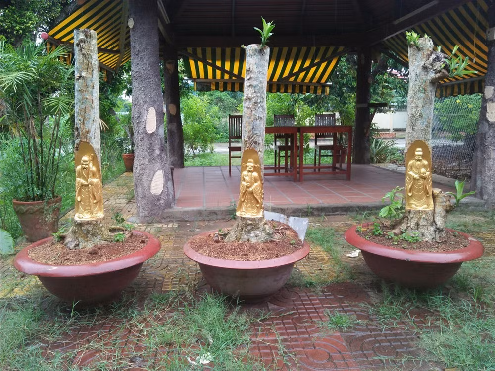 Chiem nguong sieu pham Phuc Loc Tho duoc dat vang tren than cay