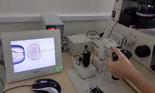 Nhiều quý cô độc thân gửi trứng chờ "đối tác" Nhieu quy co doc than gui trung cho
