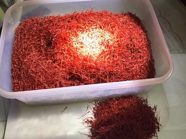 Nhụy hoa nghệ tây sấy khô.